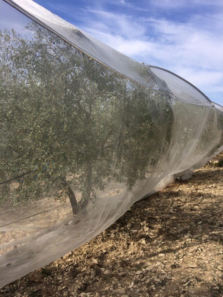 Protection contre les ravageurs Alt'mouches