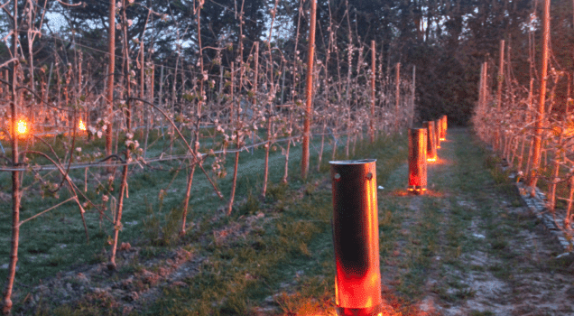 Chaufferette briques de bois compressées Filpack