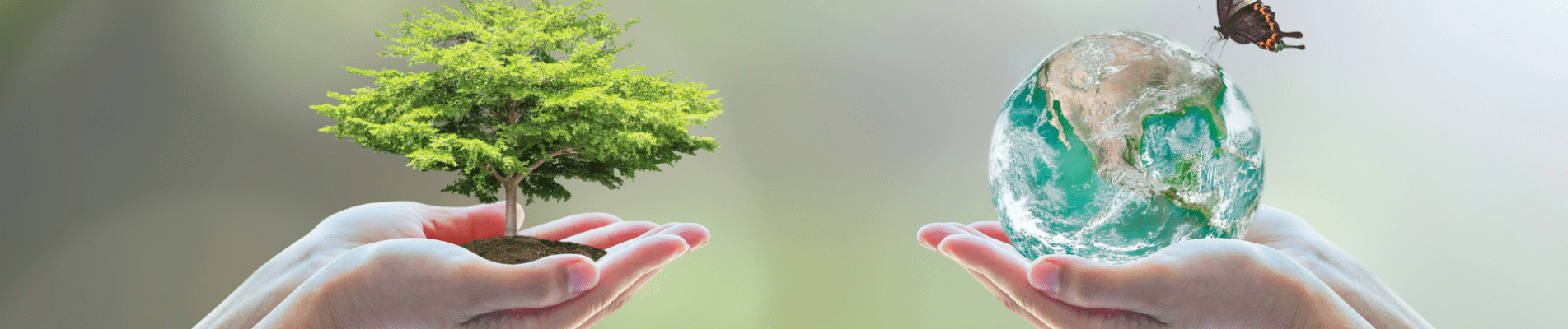 Filpack RSE certifications