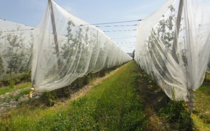 Plan FranceAgriMer, une opportunité pour les agriculteurs