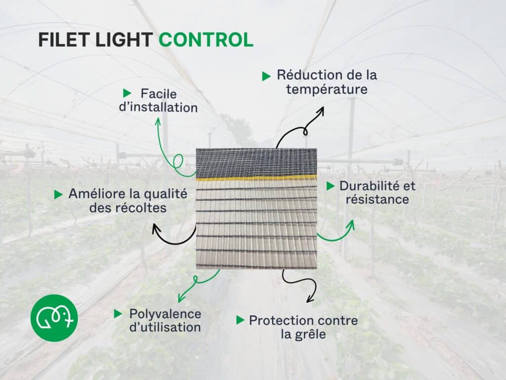 Infographie présentant les bénéfices du filet Light Control : protection contre la grêle, régulation de la lumière, amélioration de la coloration des fruits et résistance accrue.