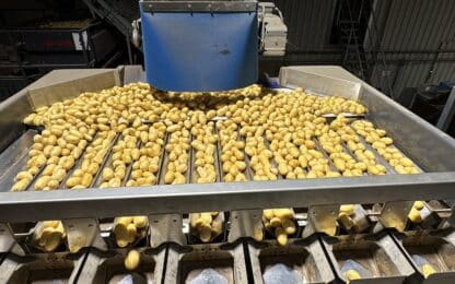 Emballage des pommes de terre : un accompagnement de l&rsquo;arrachage à la mise en rayon